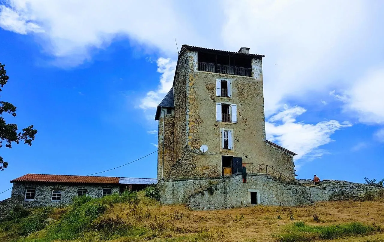 Chateau De Montegut Hotel Guest house