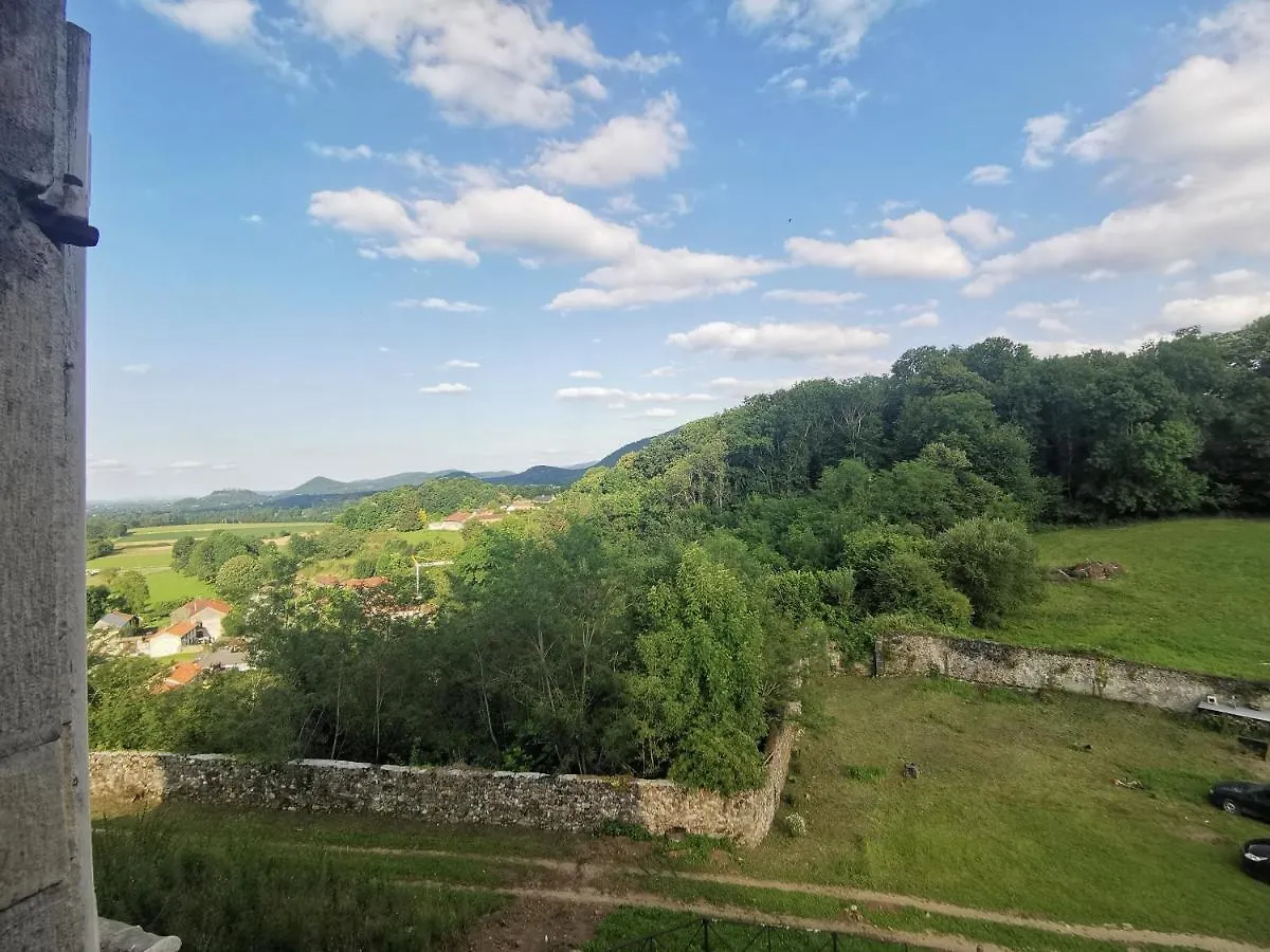 Chateau De Montegut Hotel Guest house Montegut (Hautes-Pyrenees)
