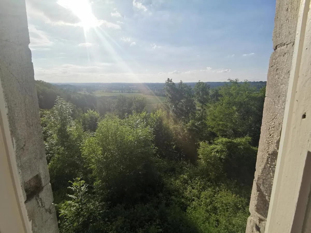 Chateau De Montegut Hotel Guest house Montegut (Hautes-Pyrenees)