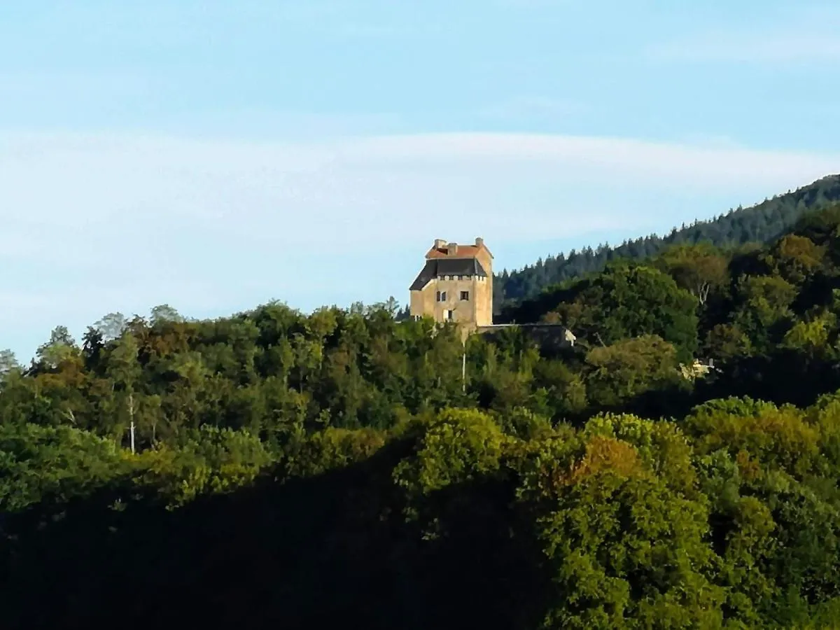 Chateau De Montegut Hotel Montegut (Hautes-Pyrenees)