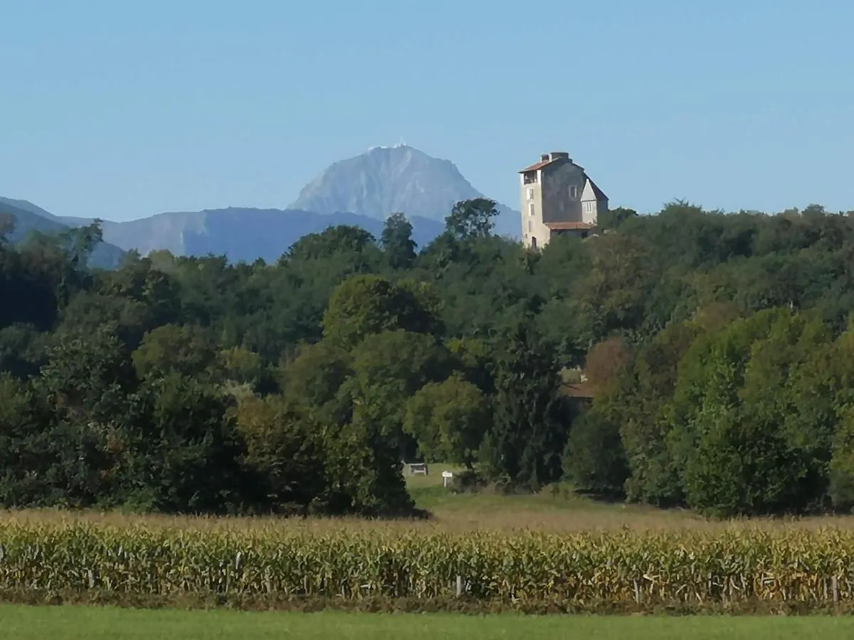 Chateau De Montegut Hotel 0*, Montegut (Hautes-Pyrenees) France