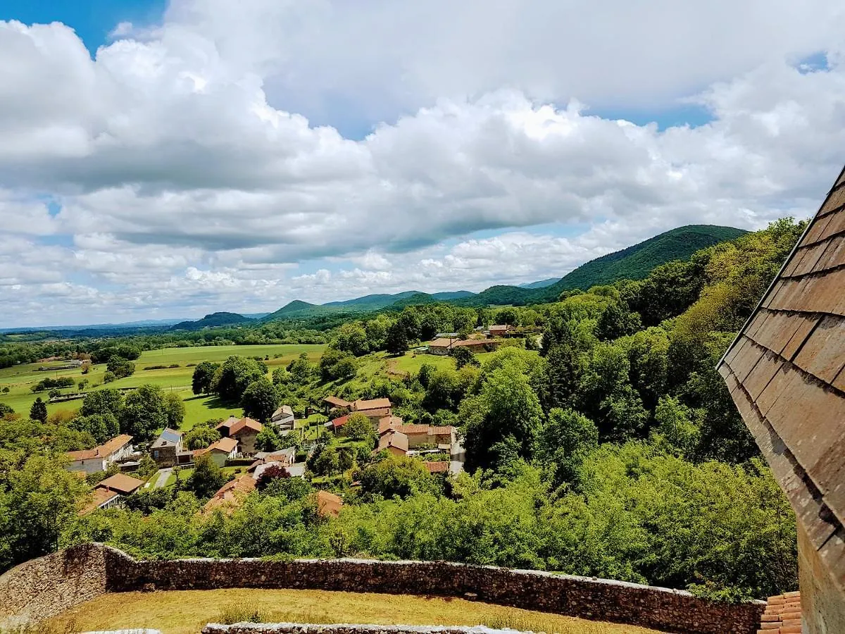 Chateau De Montegut Hotel Guest house Montegut (Hautes-Pyrenees)